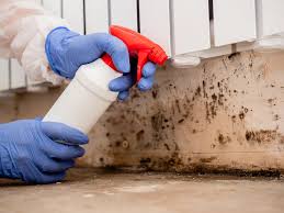 Best Attic Mold Removal in Jacobus, PA